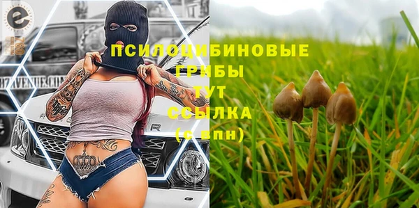 прущие крисы Белокуриха