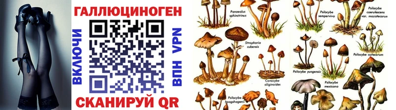 Псилоцибиновые грибы прущие грибы  MEGA зеркало  Жуковка  где можно купить  